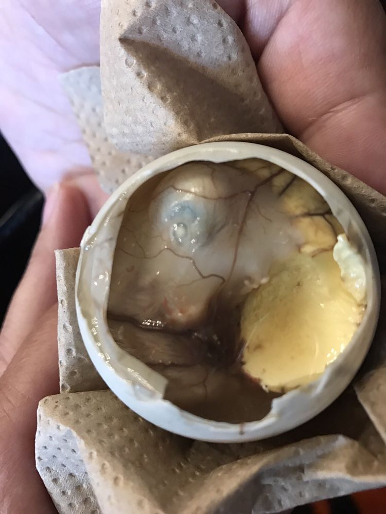 Order Balut food online from Toto Grill store, Los Angeles on bringmethat.com