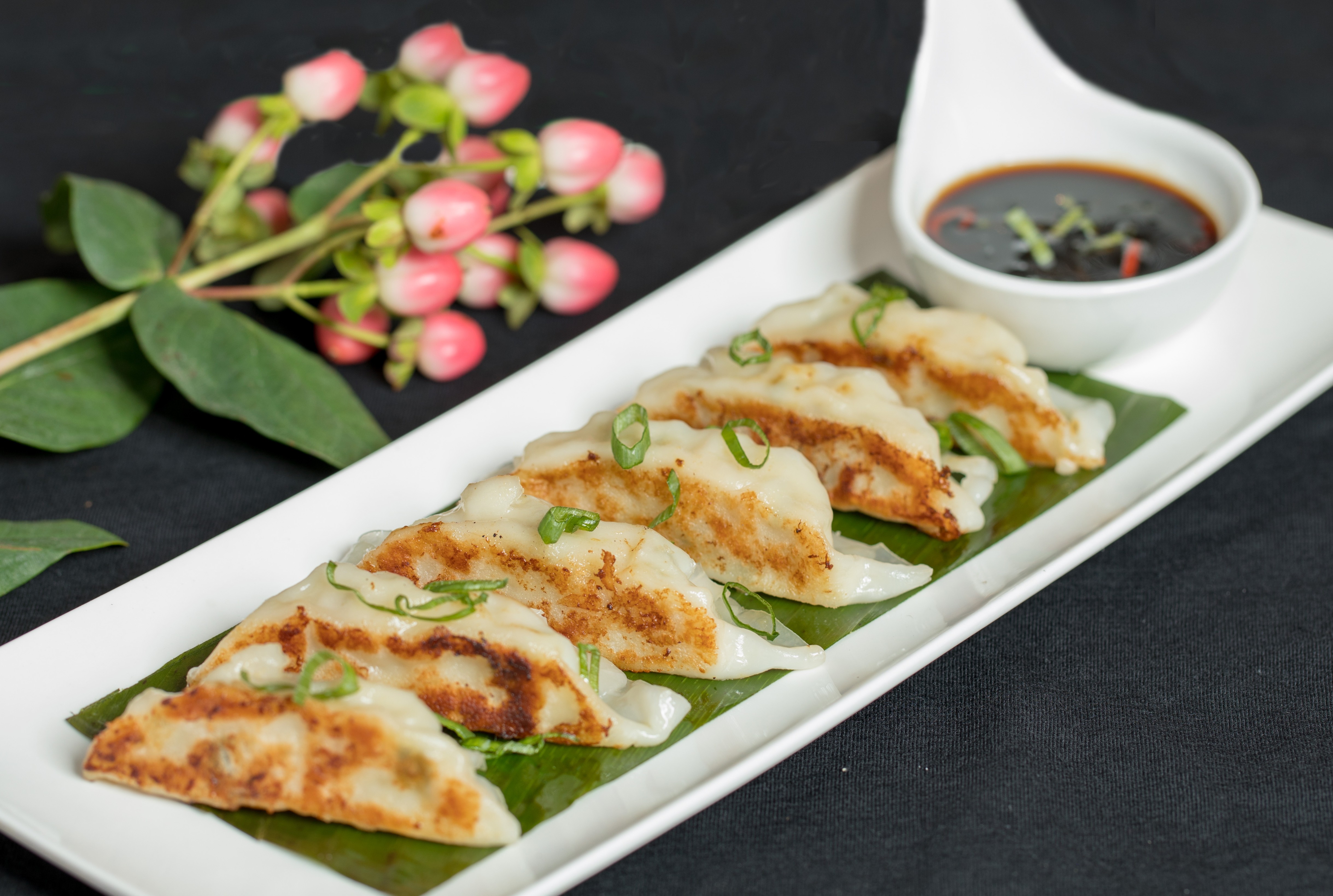 Order Pan Fried Chicken Gyoza (A7) food online from Grace Thai store, Elmhurst on bringmethat.com