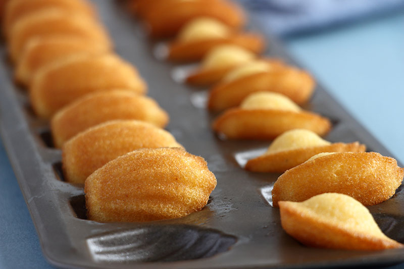 Order Madeleines food online from Hastings Tea & Coffee store, White Plains on bringmethat.com