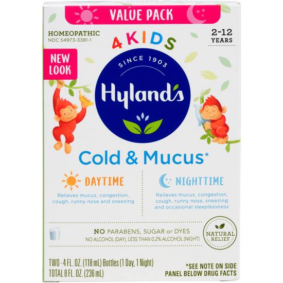 Order Hyland's 4 Kids Cold 'N Mucus Daytime/Nighttime (8 oz) food online from Rite Aid store, Mckinleyville on bringmethat.com