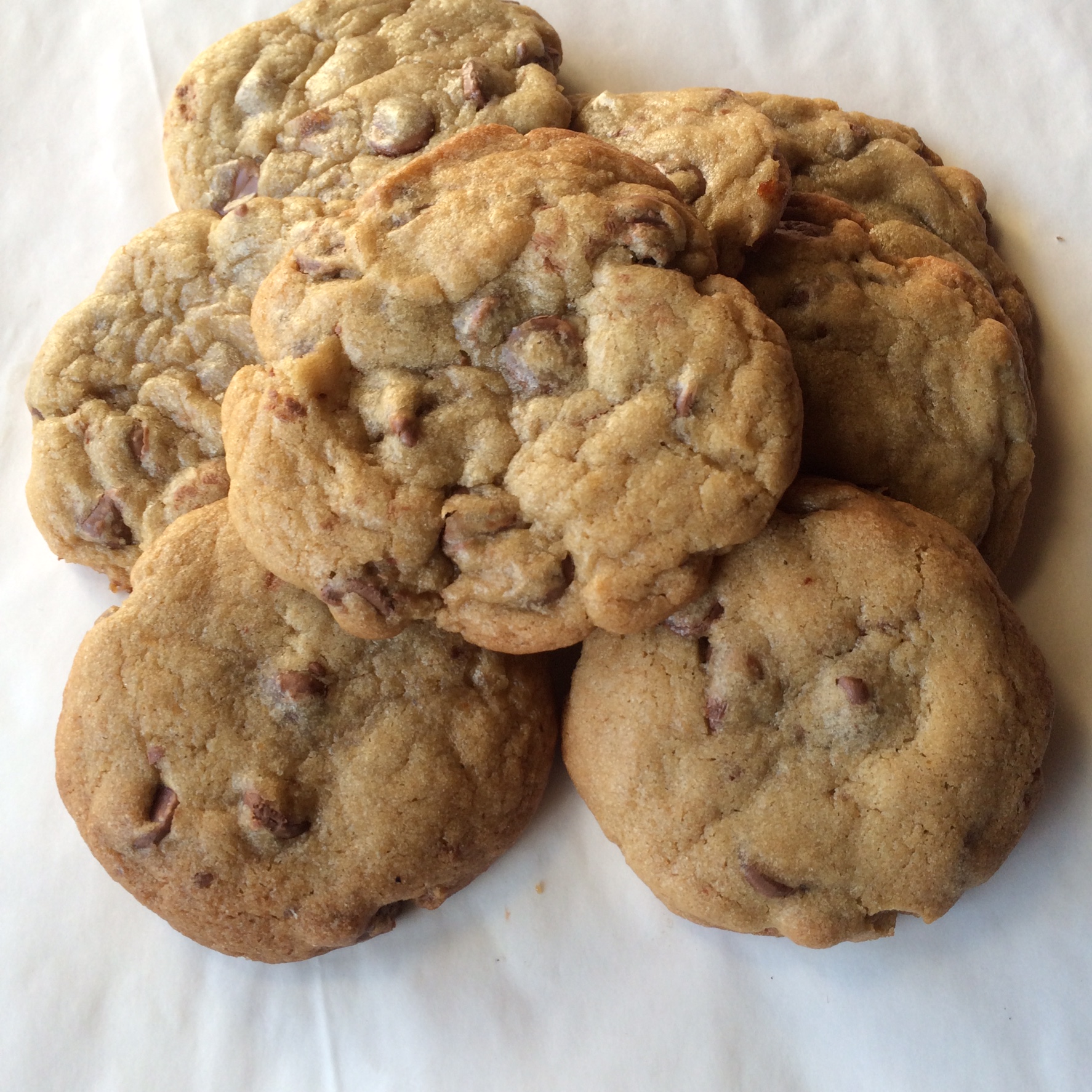 Order 12 Fresh-Baked Cookies food online from Leaning Tower Pizza & Pasta store, Sherman Oaks on bringmethat.com