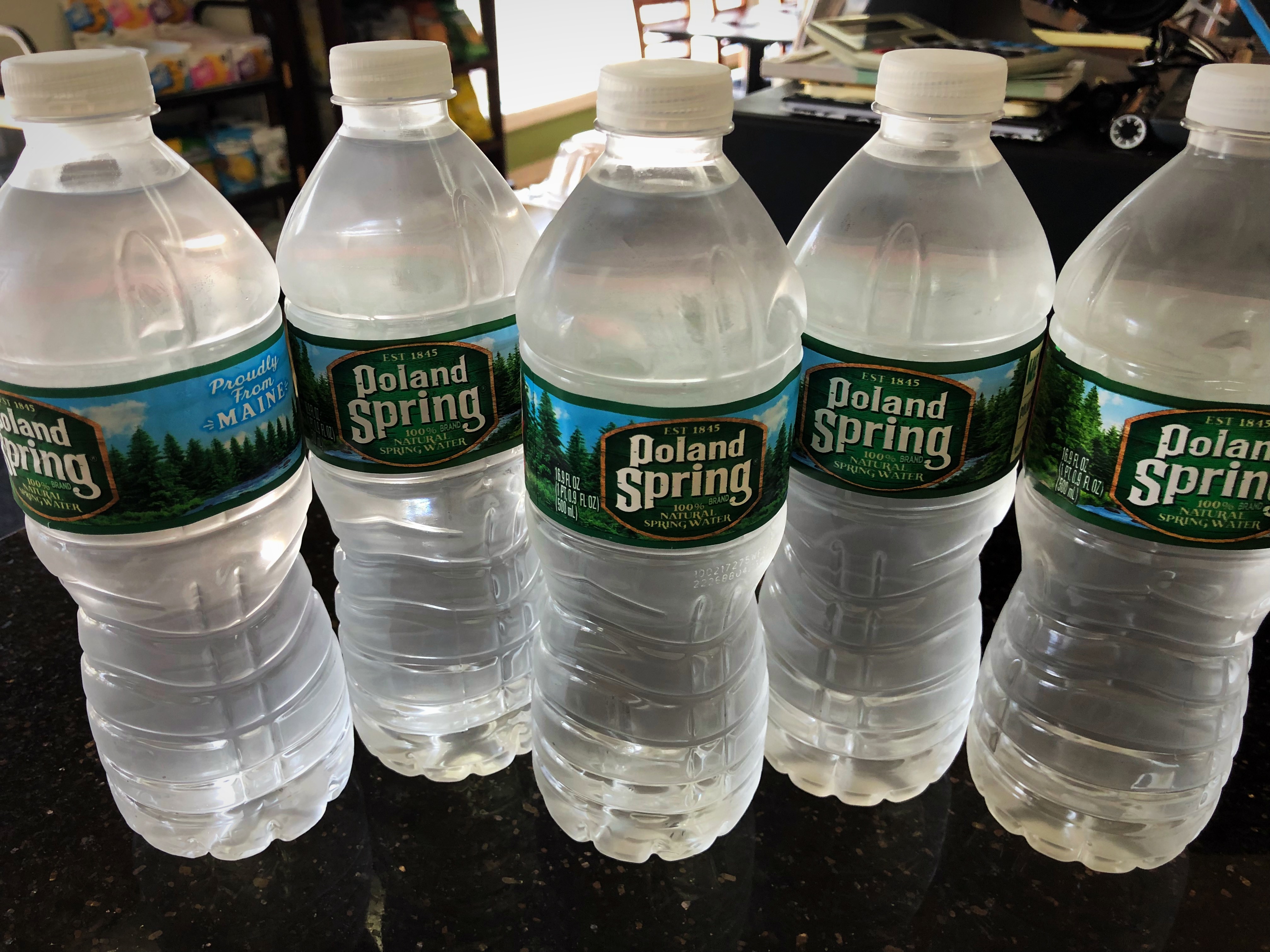 Order 16.9 oz. Bottled Poland Spring Water food online from Healthy Garden & Gourmet Pizza store, Collingswood on bringmethat.com