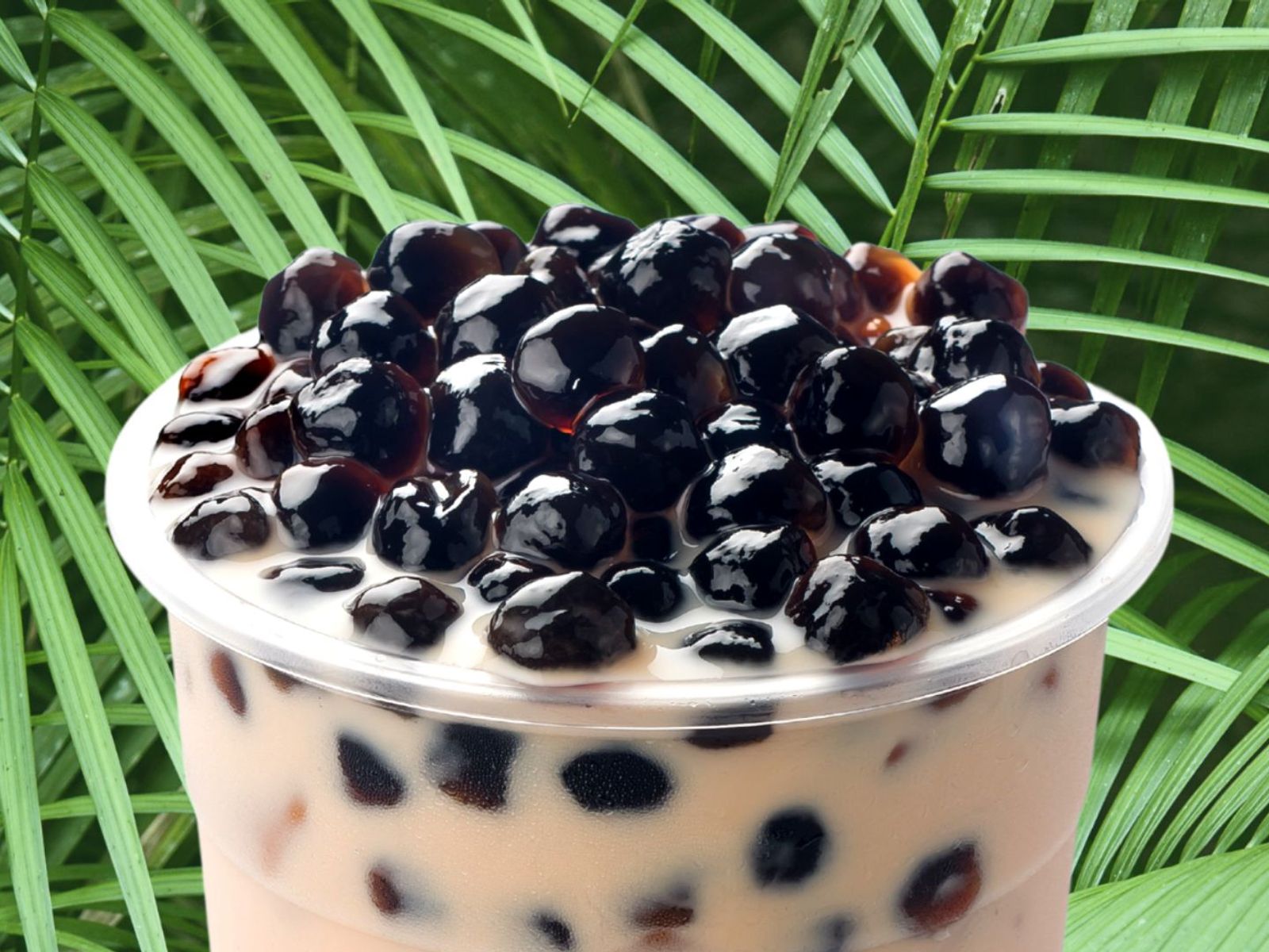 Order Milk Tea With Boba food online from Pokemoto store, Groton on bringmethat.com