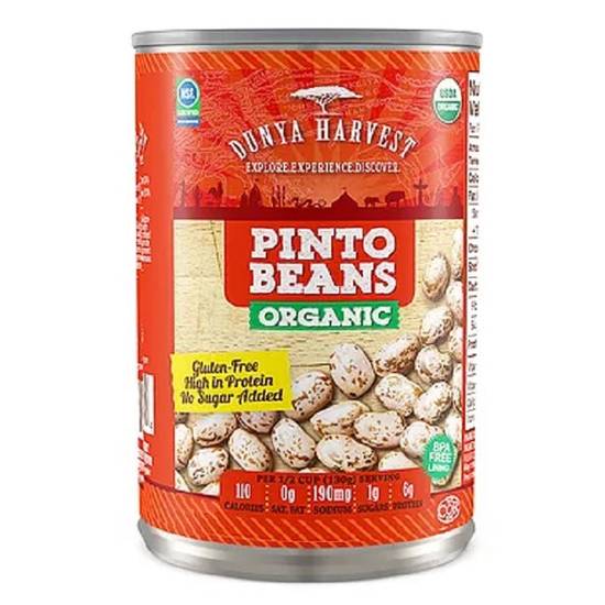 Order Dunya Harvest Organic Pinto Beans 15oz food online from Everyday Needs By Gopuff store, Littleton on bringmethat.com