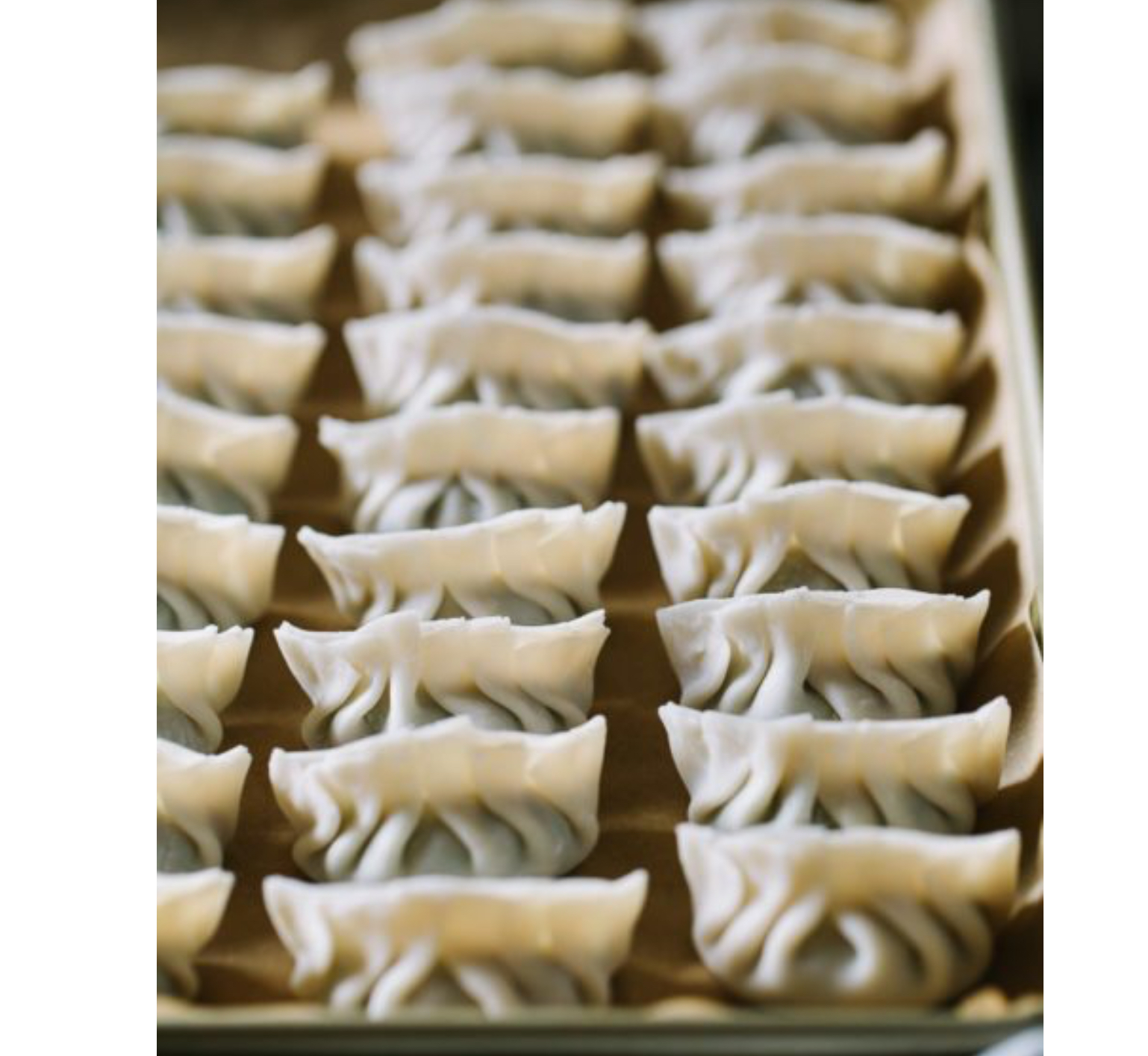 Order 8 Dumplings food online from Lotus Dynasty store, Holbrook on bringmethat.com