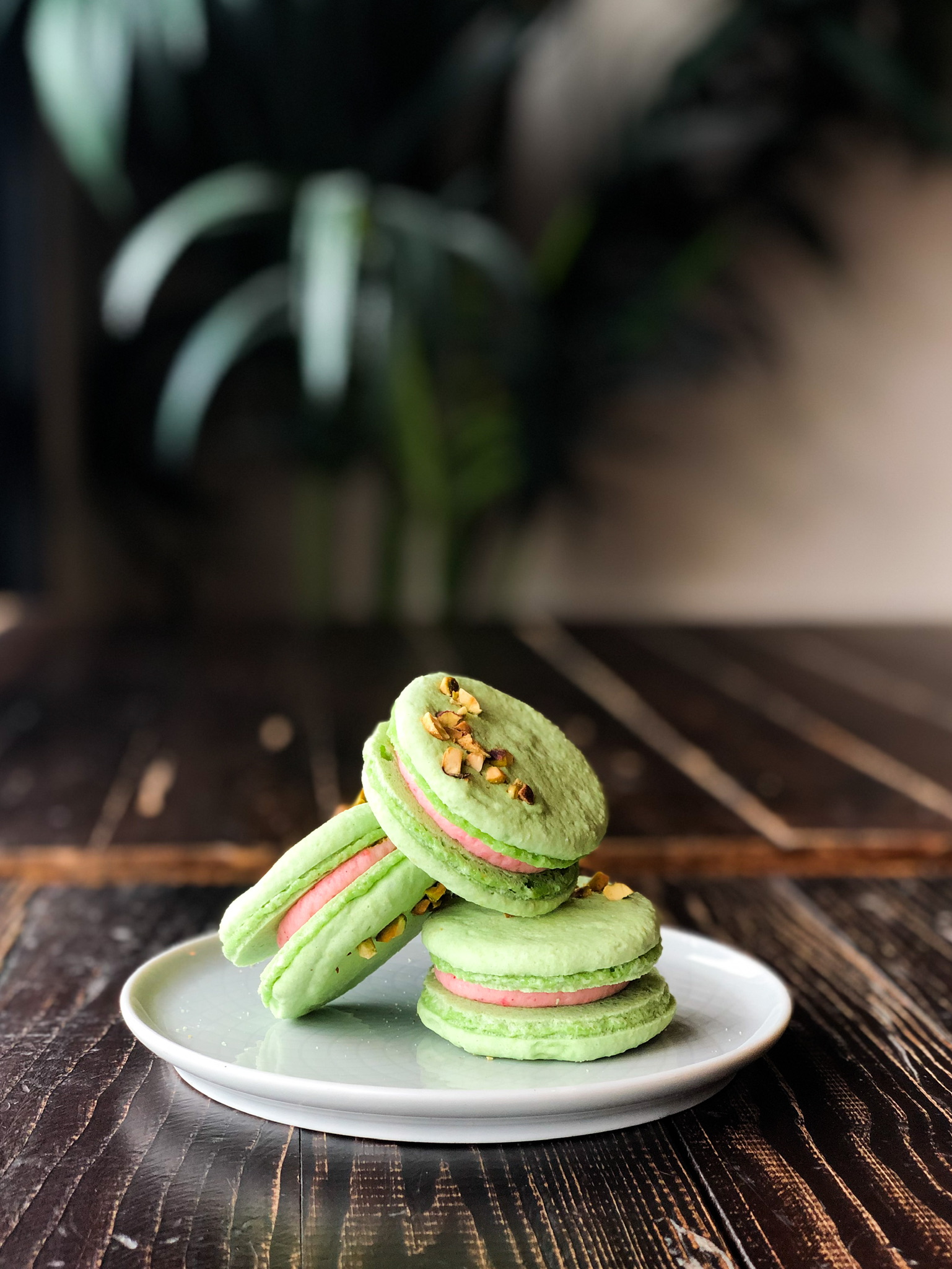 Order French Macaron food online from Passion Flour Patisserie store, Salt Lake City on bringmethat.com