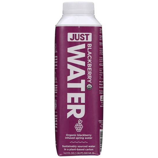 Order JUST Water Organic Blackberry Infused Spring Water, 16.9 OZ food online from Cvs store, SARATOGA on bringmethat.com