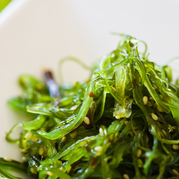 Order Seaweed Salad food online from Sushi X store, Ridgewood on bringmethat.com