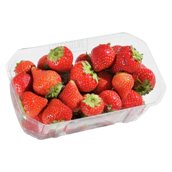 Order Organic Strawberries 1lb Clamshell food online from Everyday Needs by Gopuff store, Stamford on bringmethat.com