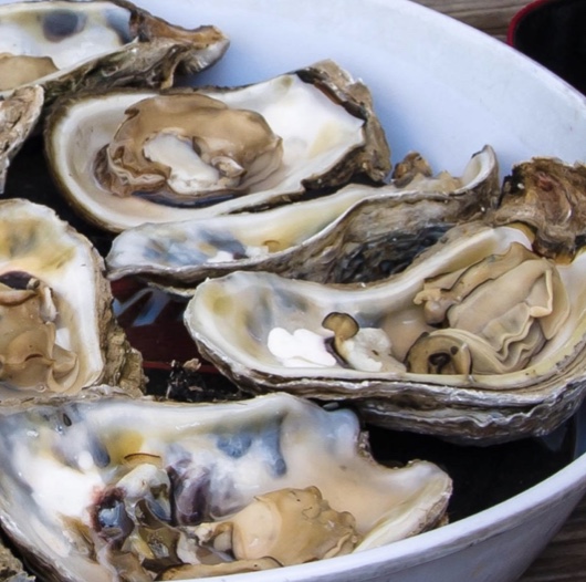 Order 6 Pieces Steam Oyster food online from Rubys Cajun store, Cherry Hill on bringmethat.com