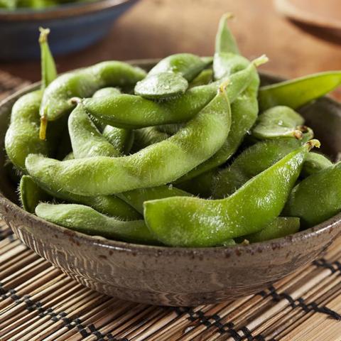 Order Edamame food online from Chikara Sushi & Asian Fusion store, Phoenixville on bringmethat.com