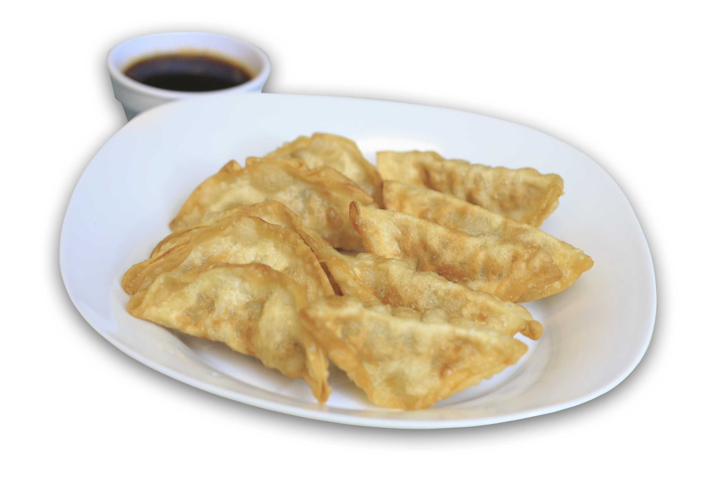 Order A4. Pot Sticker food online from China Cafe store, Turlock on bringmethat.com