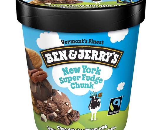 Order Ben & Jerry's New York Super Fudge Chunk® Ice Cream, Pint food online from Abc Discount Store store, San Diego on bringmethat.com