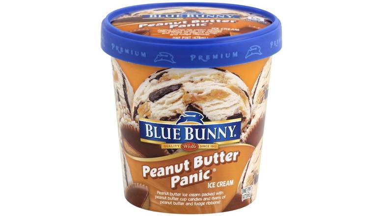 Order Blue Bunny Peanut Butter Panic Ice Cream food online from Aldan Sunoco store, Aldan on bringmethat.com