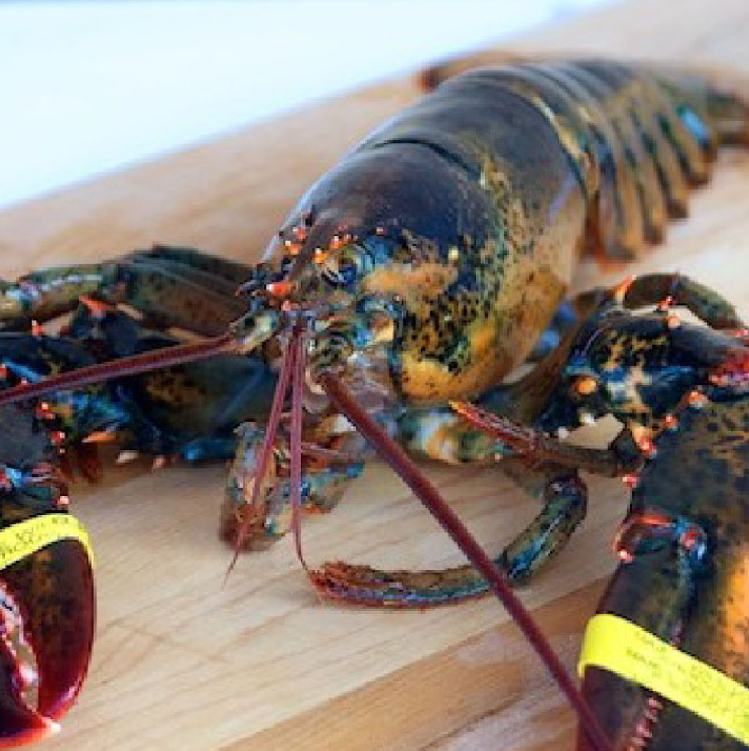 Order Live Maine Lobster food online from Dixon Seafood Shoppe store, Peoria on bringmethat.com