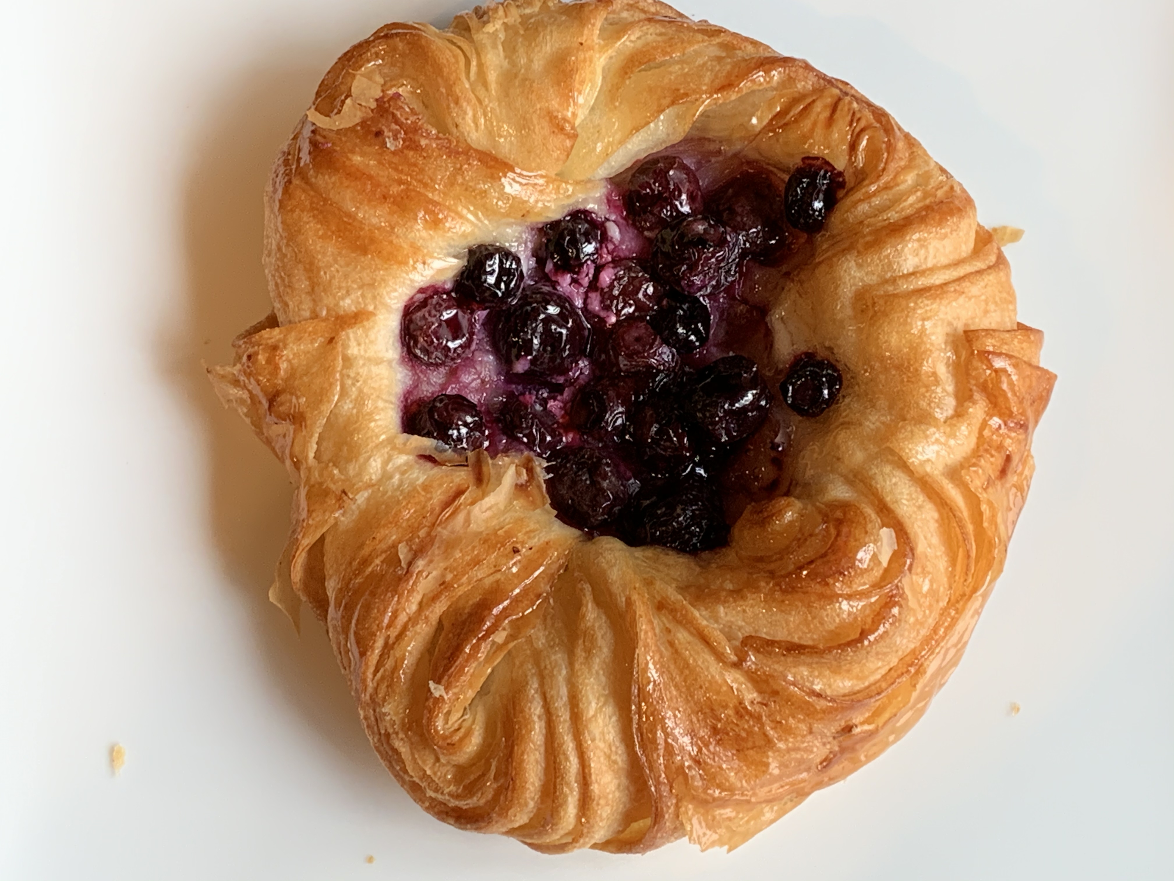 Order Blueberry danish food online from Romeo And Juliet Coffee store, New York on bringmethat.com