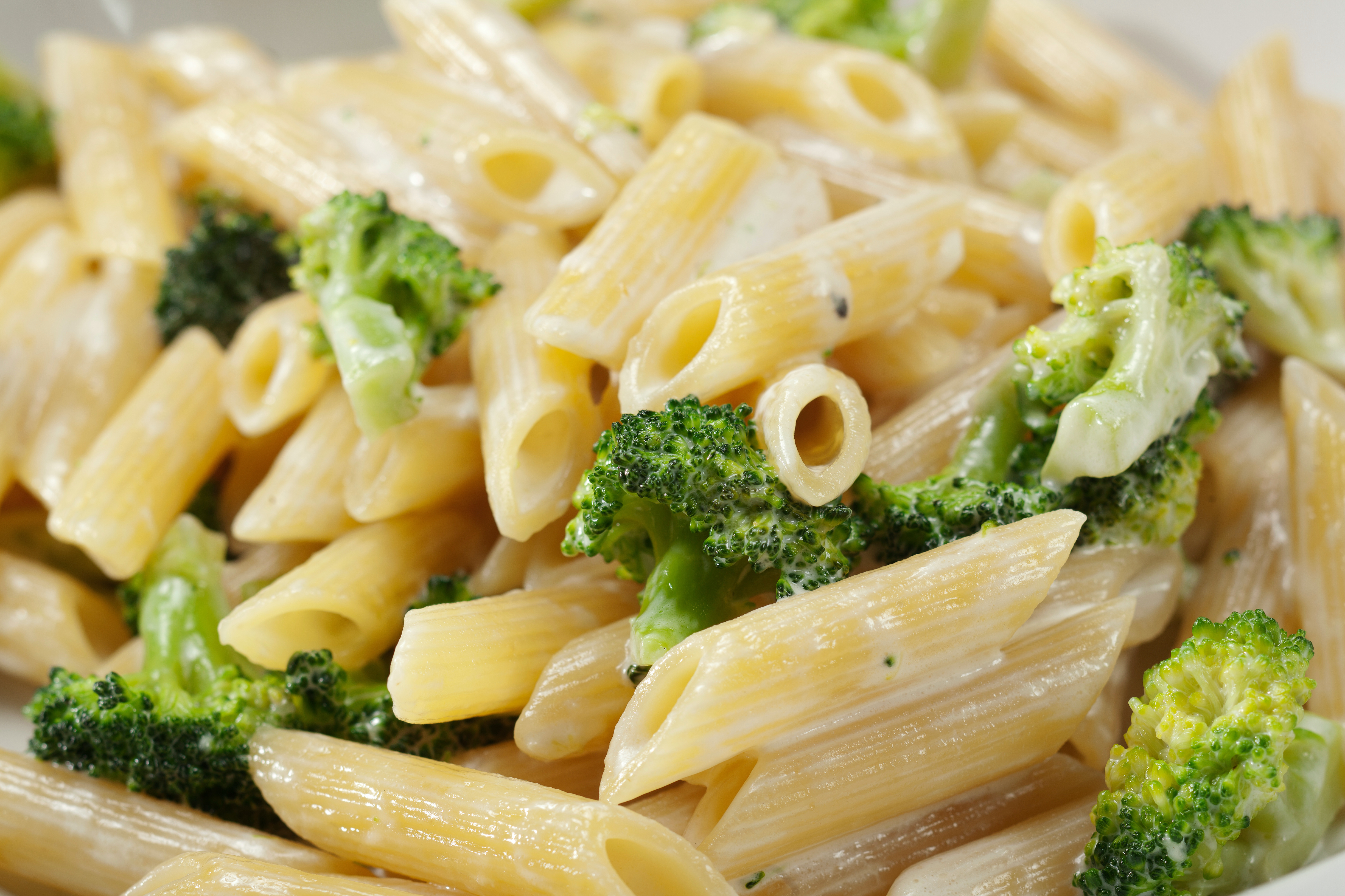 Order Baked Broccoli Penne food online from Primo Pizzeria store, Ballston Spa on bringmethat.com