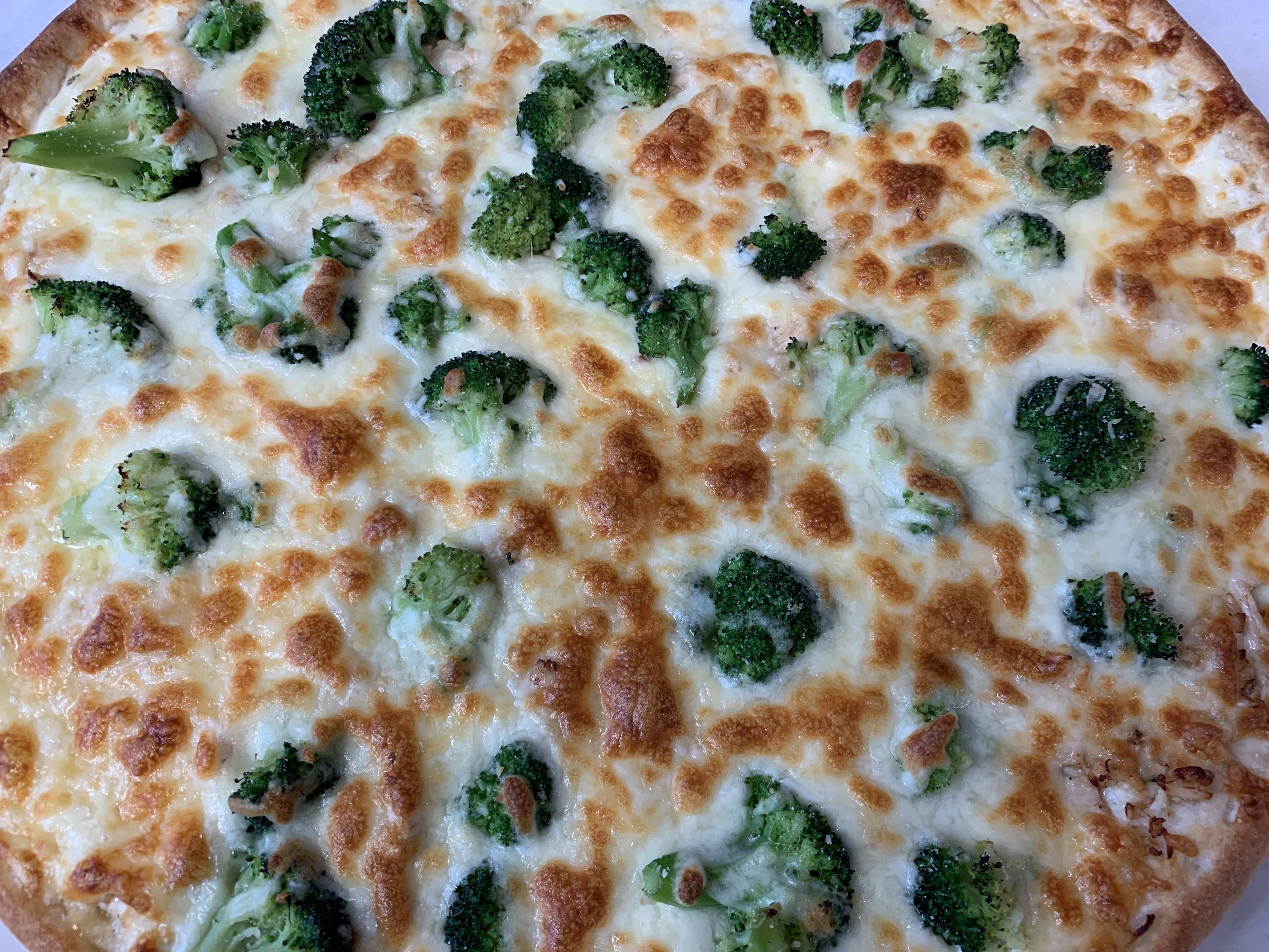 Order Chicken Broccoli Alfredo Pizza  food online from Olympic Pizza store, Arlington on bringmethat.com