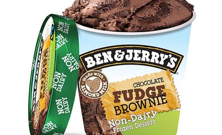 Order Ben & Jerry's Non-Dairy Chocolate Fudge Brownie food online from The Ice Cream Shop store, Gilbert on bringmethat.com