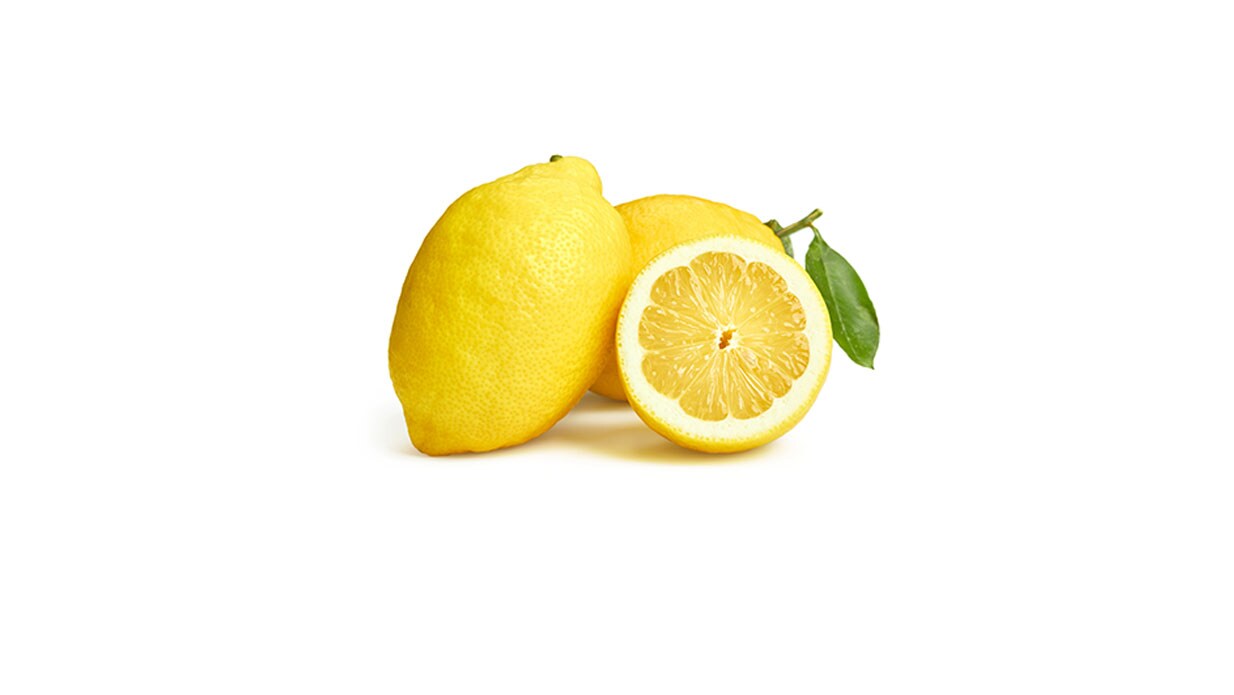 Order Lemon, Each food online from Panera store, Eden Prairie on bringmethat.com
