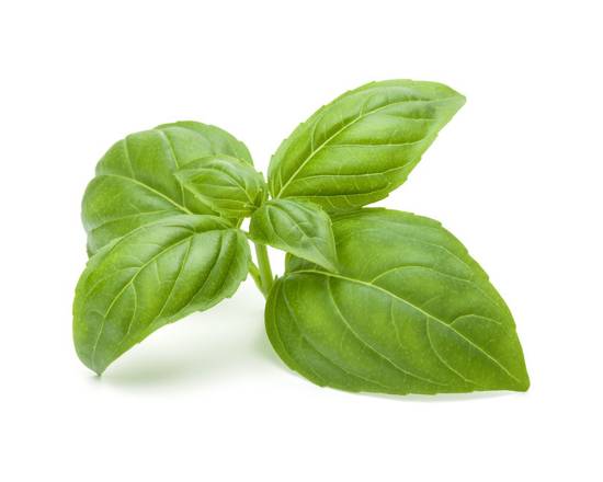 Order Basil (1 bunch) food online from Safeway store, Concord on bringmethat.com
