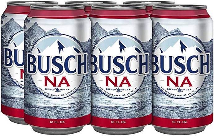 Order Busch Na Non Alcoholic Beer - Pack Of 6 food online from Red Roof Market store, Lafollette on bringmethat.com