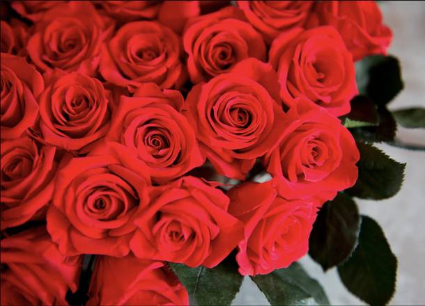 Order Dozen Rose Arrangement food online from Dolche Cafe Authentic Latin Fussion store, Chula Vista on bringmethat.com