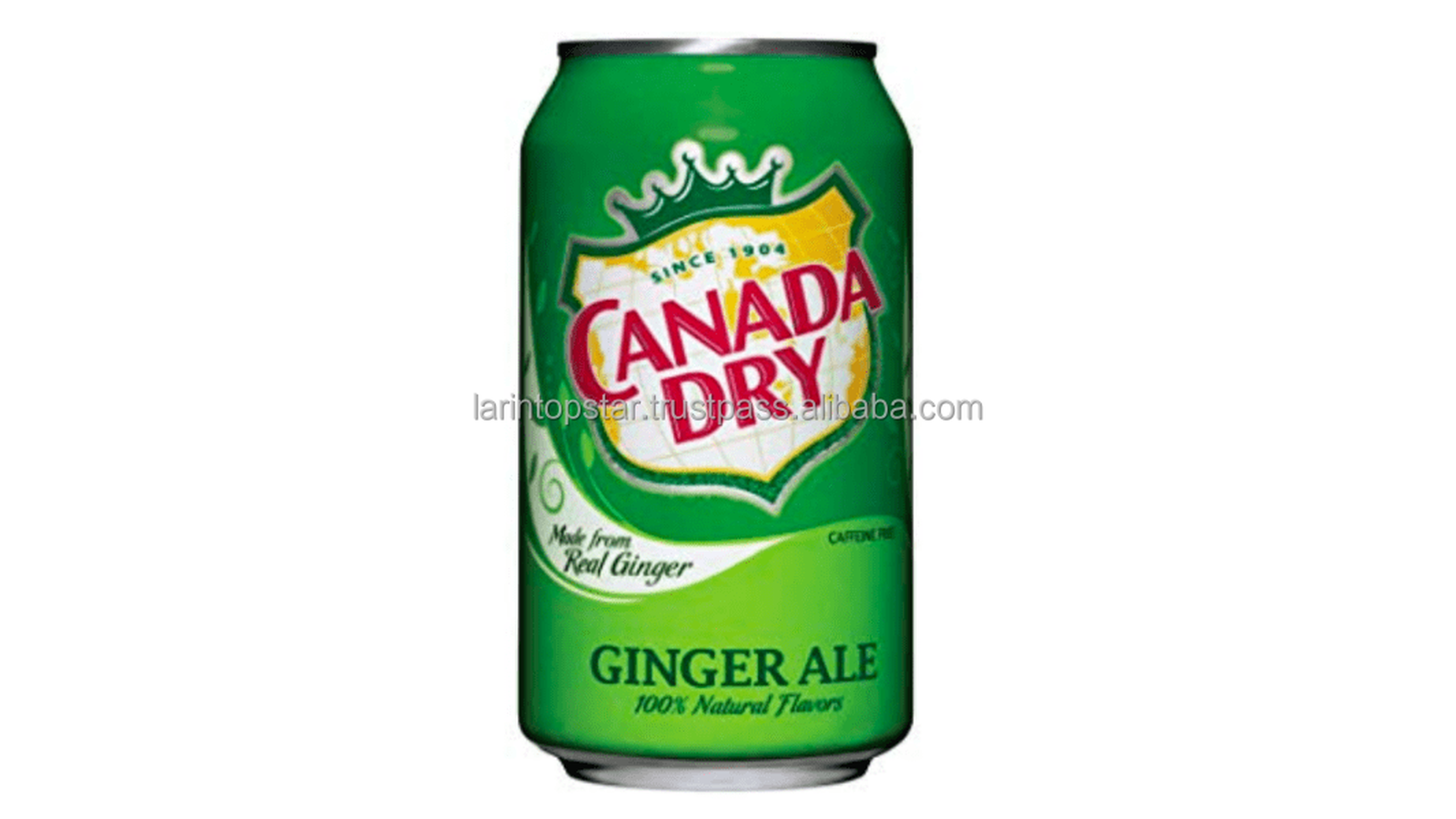 Order CANADA DRY GINGER ALE food online from Lula Convenience Store store, Evesham on bringmethat.com