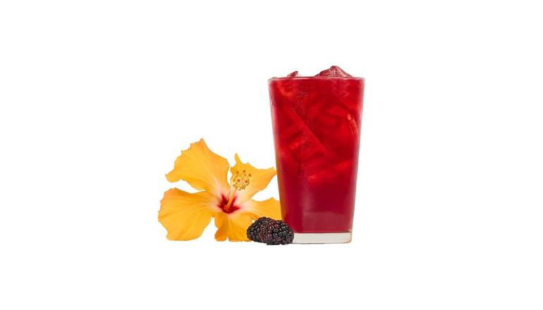 Order Small Blackberry Hibiscus Iced Tea food online from Starbird Wings store, Foster City on bringmethat.com