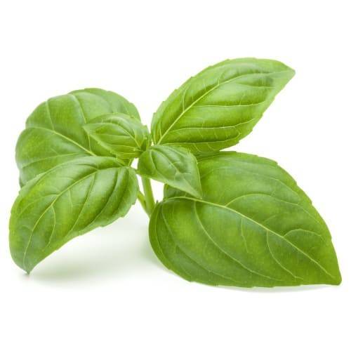 Order Basil (1 bunch) food online from Safeway store, Tucson on bringmethat.com