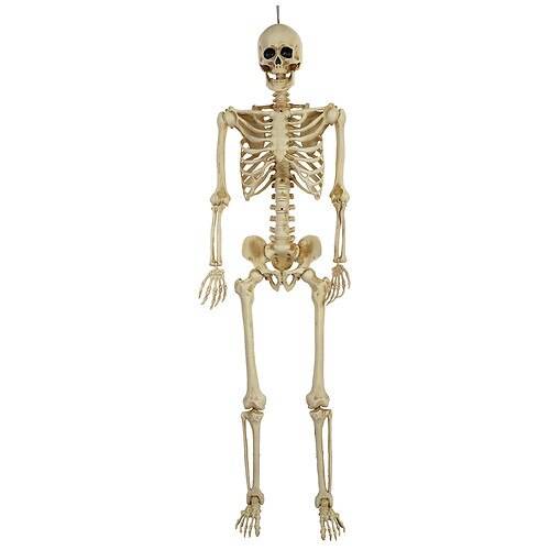 Order Festive Voice SKELETON 5FT - 1.0 ea food online from Walgreens store, League City on bringmethat.com