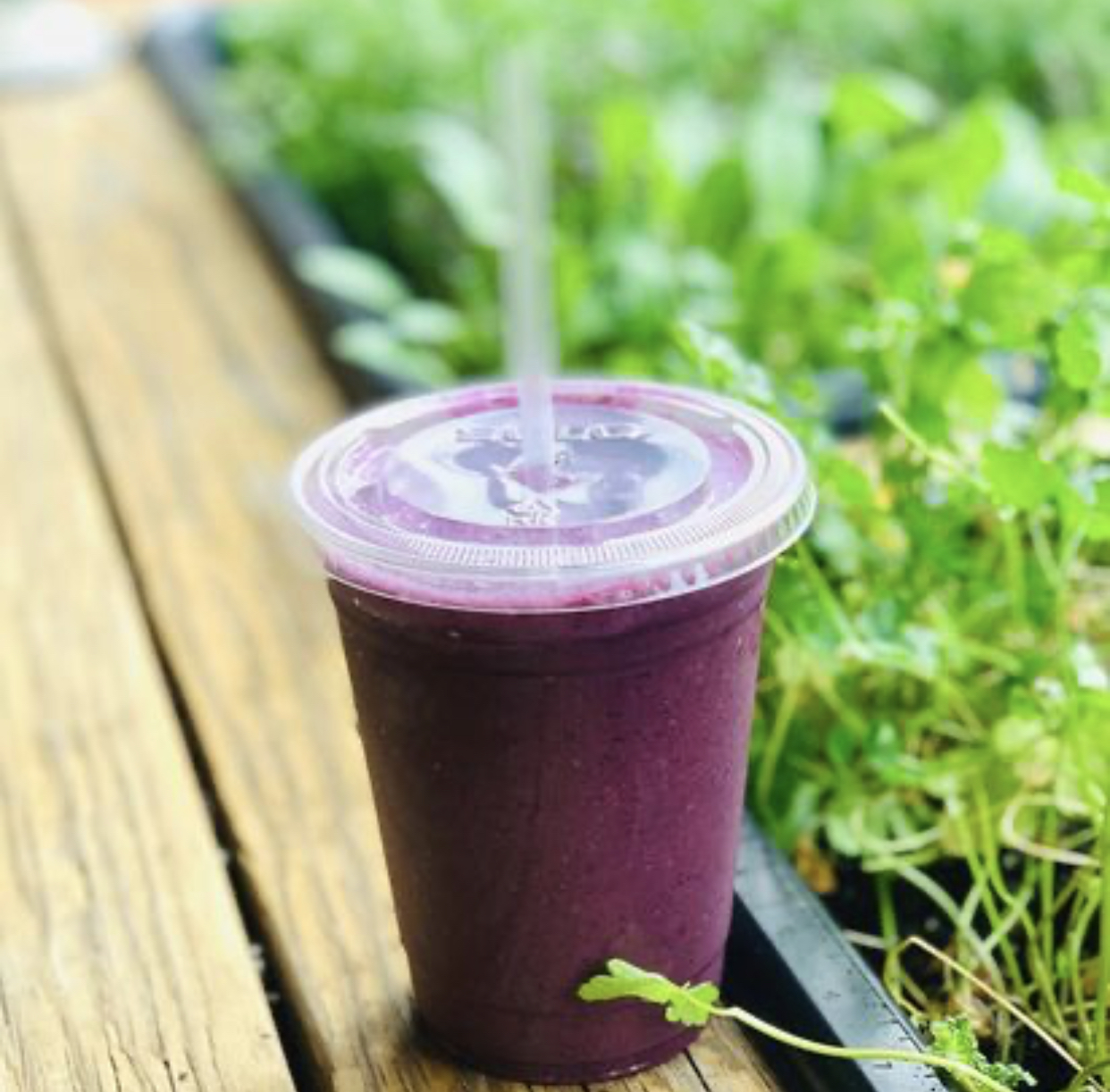 Order Blueberry Bliss Smoothie food online from Toss’D store, Red Bank on bringmethat.com