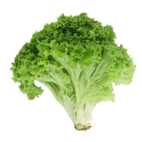 Order Green Leaf Lettuce (1 ct) food online from Albertsons Express store, Lake Charles on bringmethat.com
