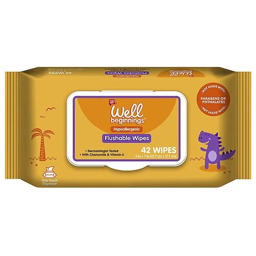 Order Well Beginnings Flushable Toddler Wipes - 42.0 ea food online from Walgreens store, Brookhaven on bringmethat.com