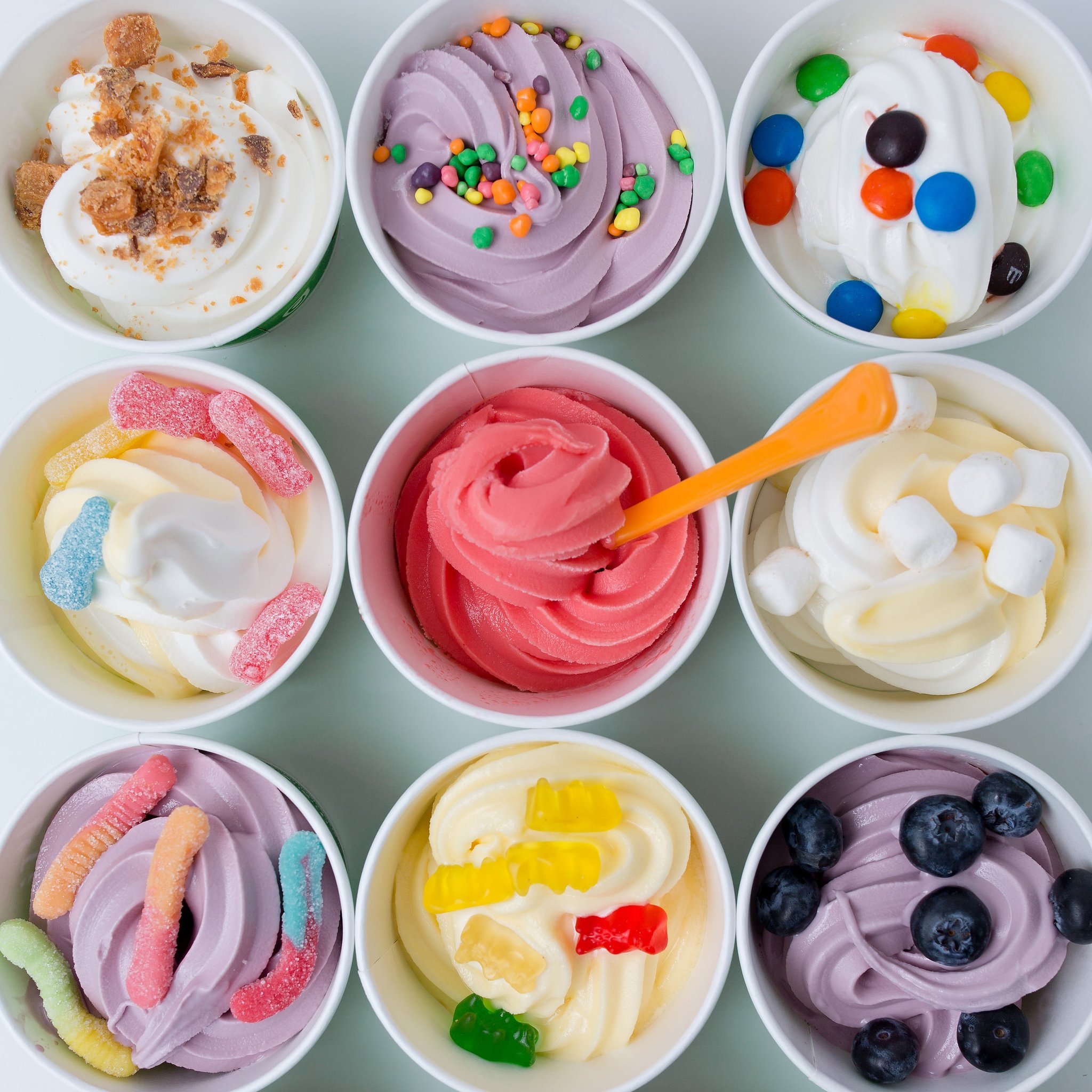 Order Fro-Yo! 16oz food online from Frannies Goodie Shop store, Mount Kisco on bringmethat.com