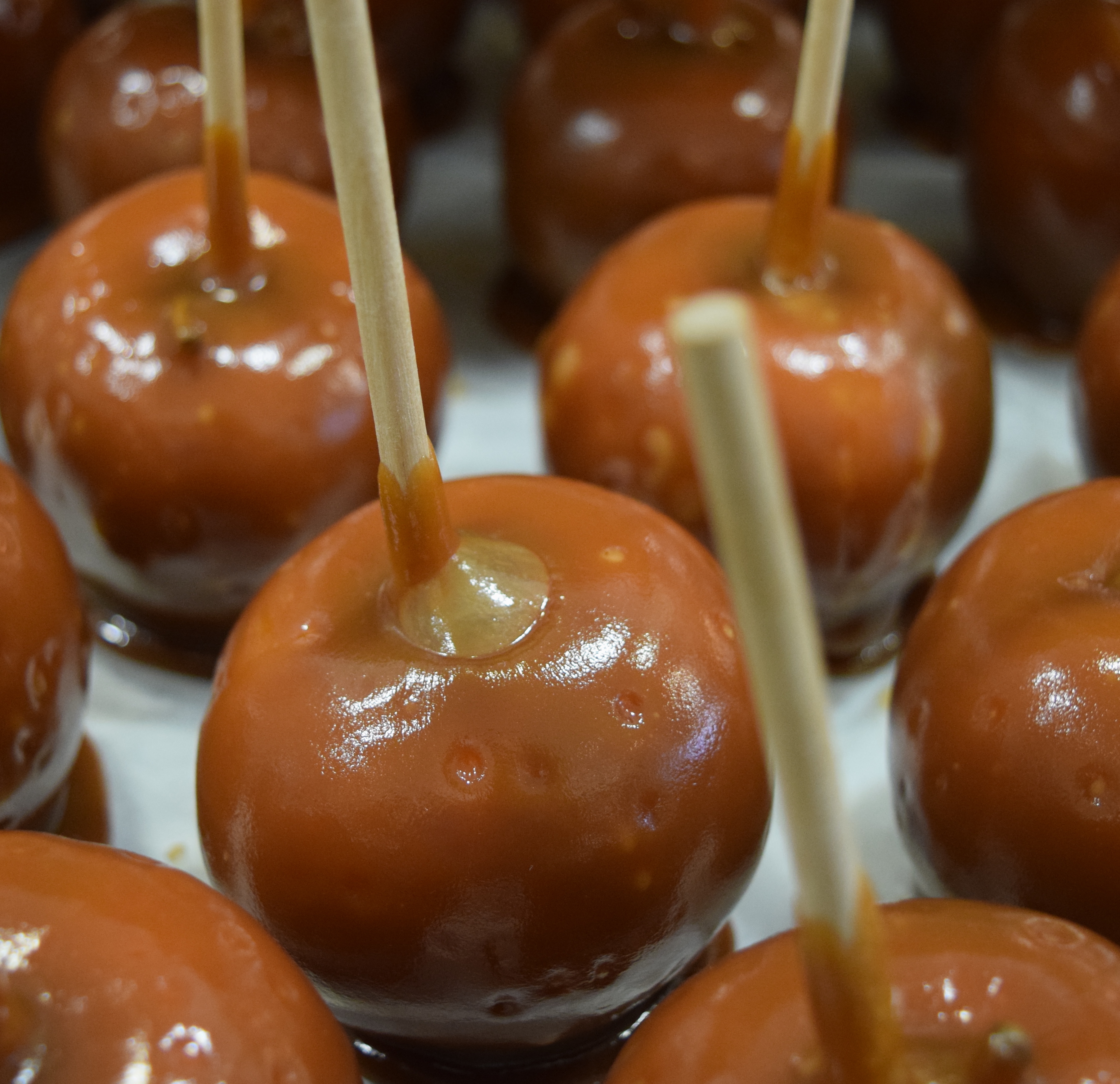 Order Plain Caramel Apple food online from The Fudge Pot store, Chicago on bringmethat.com