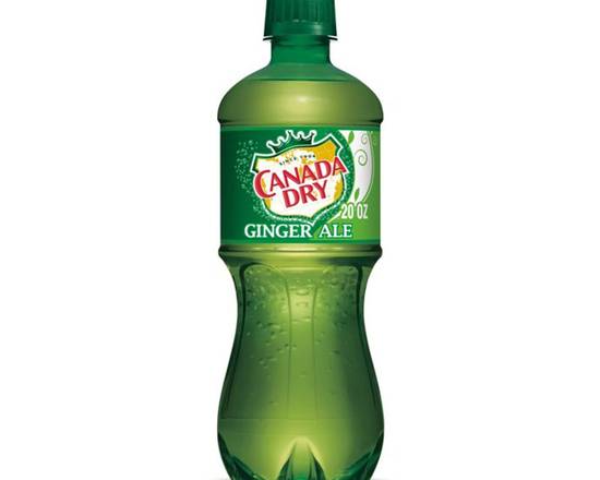 Order Canada Dry Ginger Ale 20oz Bottle food online from Johnny Rockets store, Aliso Viejo on bringmethat.com