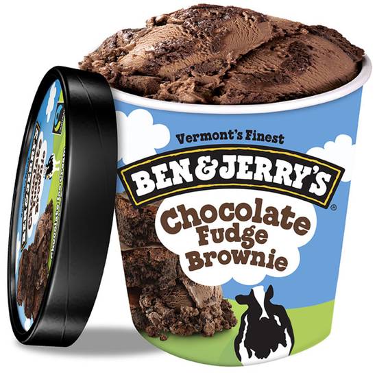 Order Ben & Jerry's Chocolate Fudge Brownie Ice Cream Pint food online from Papa Gino's store, Kingston on bringmethat.com