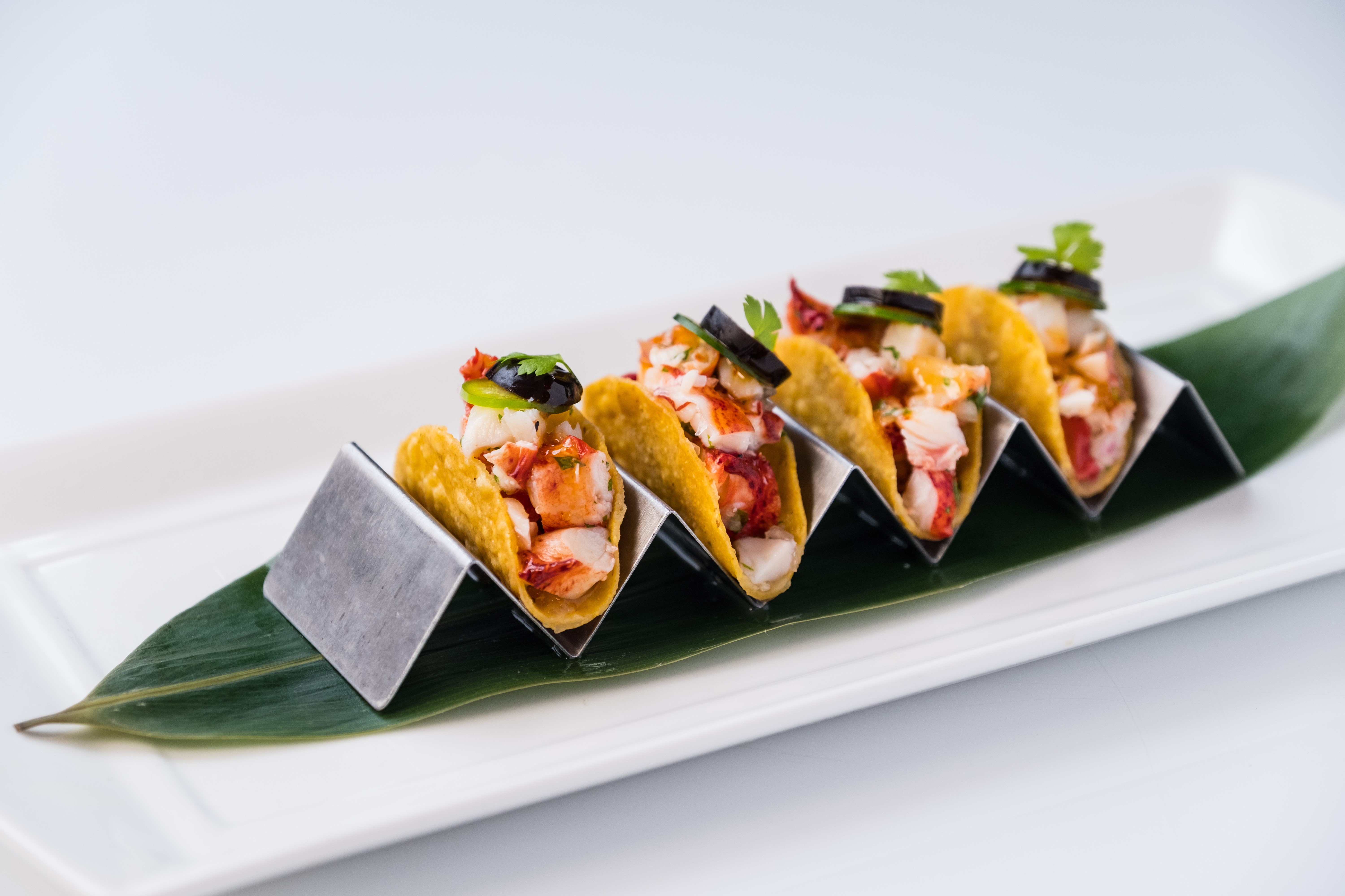 Order Maine Lobster Taco food online from Nisen Sushi store, Commack on bringmethat.com