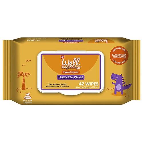 Order Well Beginnings Flushable Toddler Wipes - 42.0 ea food online from Walgreens store, CLEARWATER BEACH on bringmethat.com