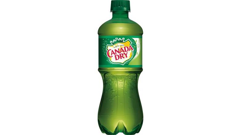 Order Canada Dry Ginger Ale Soda food online from Shell Rock Spring store, Bel Air on bringmethat.com