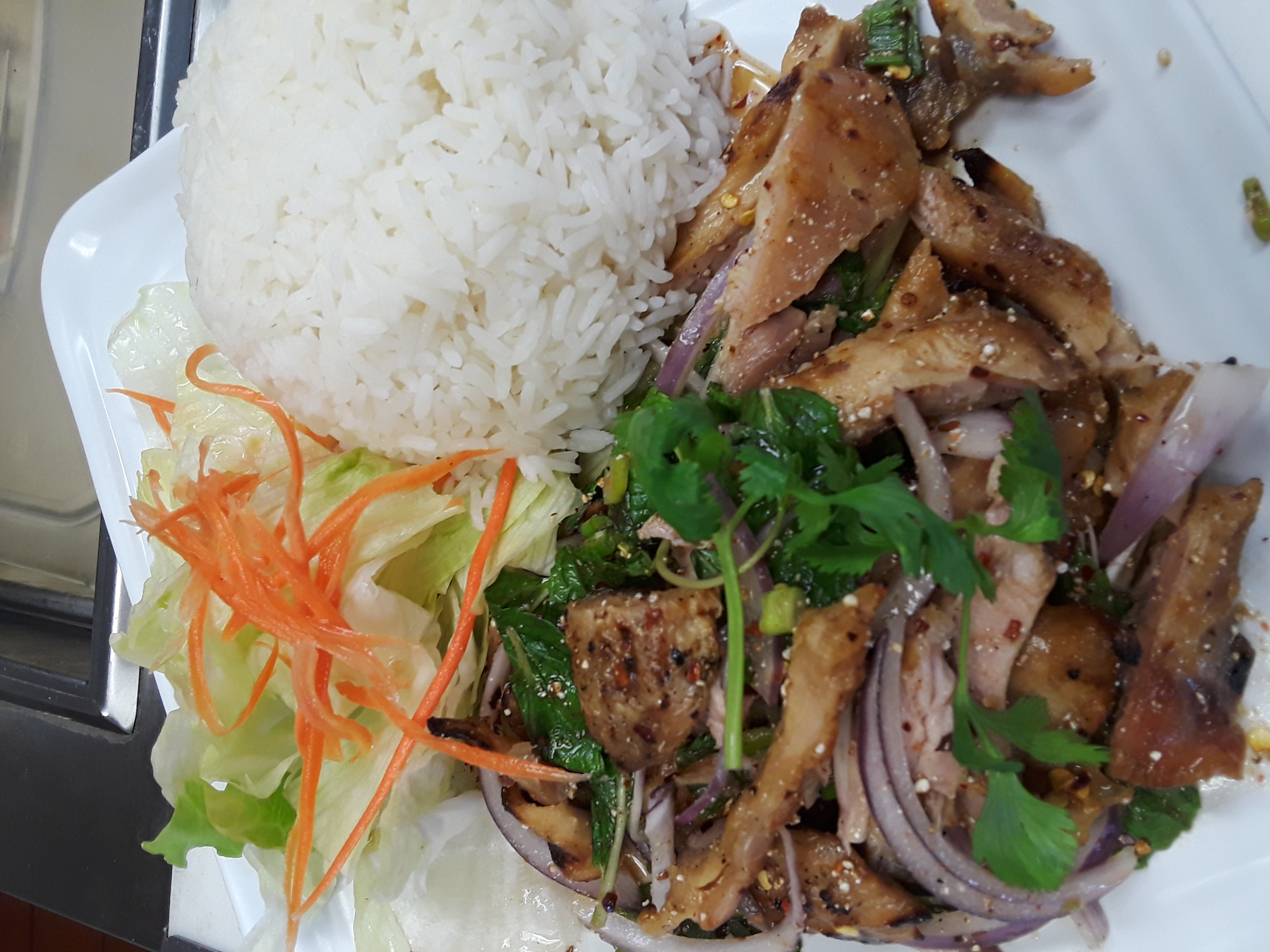 Order Nam Tok Chicken with Rice food online from Chili & Lemon Thai Cuisine store, Los Angeles on bringmethat.com