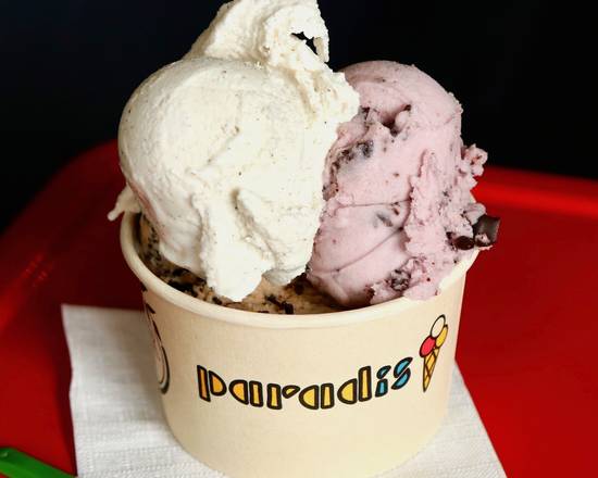 Order Regular Ice Cream Cup food online from Paradis Ice Cream Pch Highway store, Dana Point on bringmethat.com