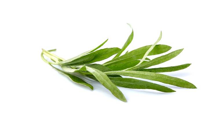 Order North Shore Living · Organic Tarragon (1 bunch) food online from Albertsons store, Highland on bringmethat.com