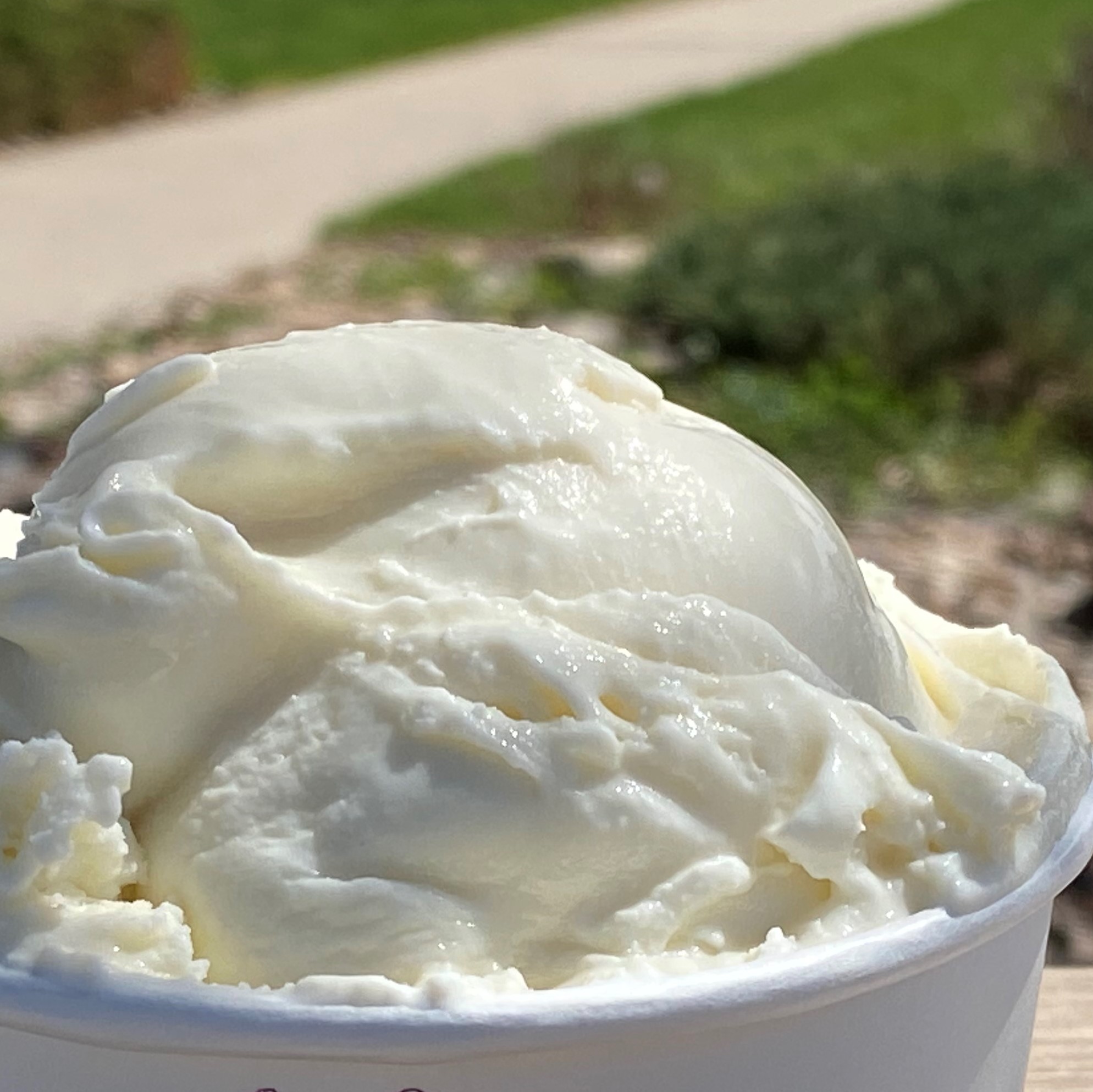 Order Vanilla Ice Cream food online from Glacier Homemade Ice Cream store, Boulder on bringmethat.com