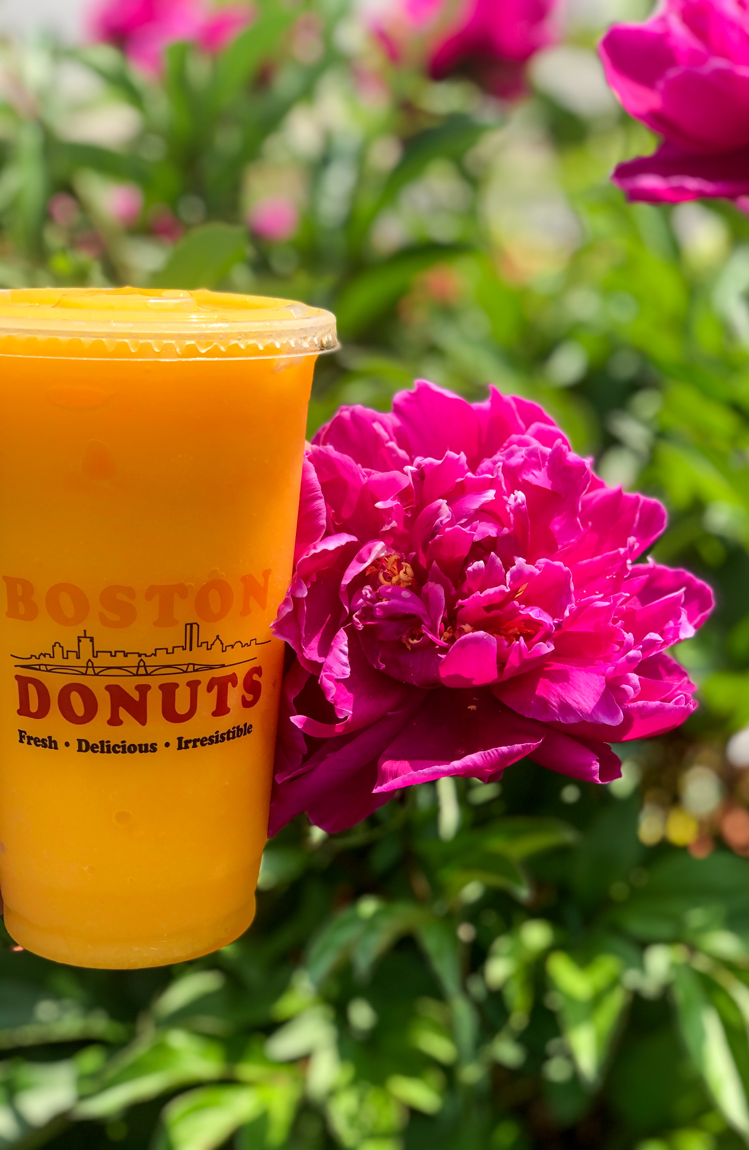 Order Mango Mania Smoothie food online from Boston Donuts store, Fitchburg on bringmethat.com