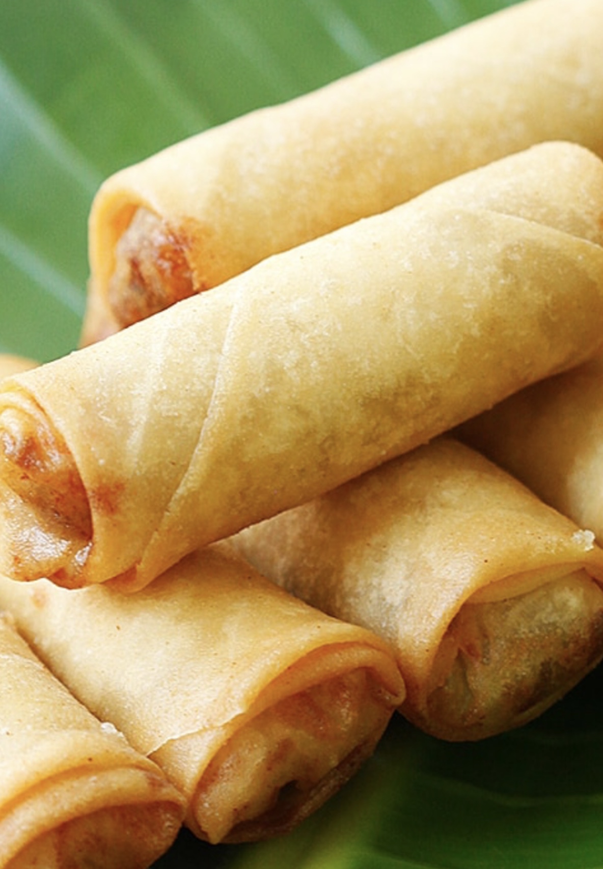 Order 4. Two Piece Vegetable Spring Roll  food online from Chinatown Diner Of 88 store, Newark on bringmethat.com