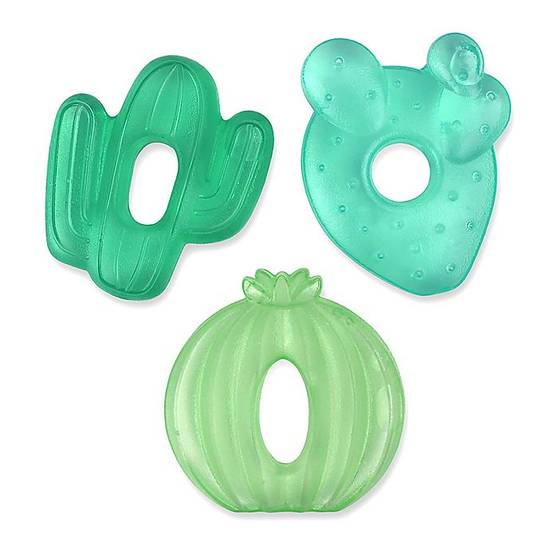 Order Itzy Ritzy® 3-Piece Cactus Water Teethers in Green food online from Bed Bath & Beyond store, Lancaster on bringmethat.com