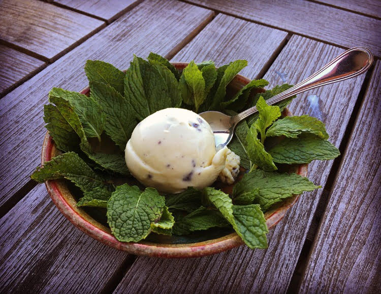Order Fresh Mint Chip Ice Cream food online from San Francisco's Hometown Creamery store, San Francisco on bringmethat.com