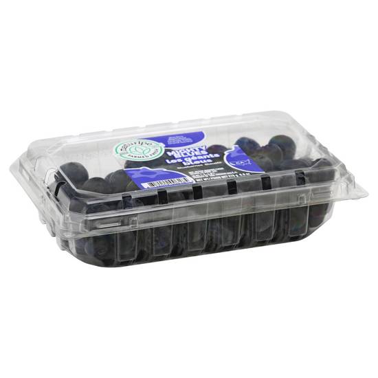 Order Naturipe · Mighty Blues Blueberries (9.8 oz) food online from ACME Markets store, Philadelphia on bringmethat.com